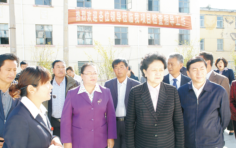 时任中央政治局委员，，，，，国务院副总理、党组成员刘延东视察湖北星空娱乐集团青海项目部