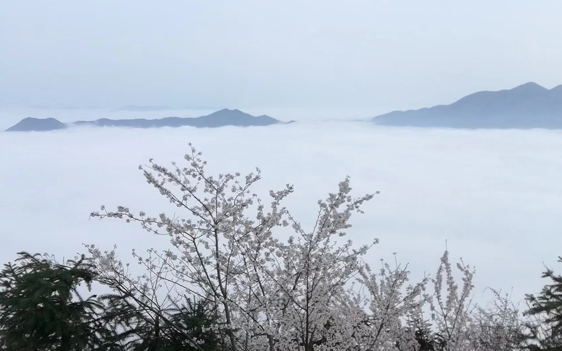 星空娱乐(中国区) - 官方网站