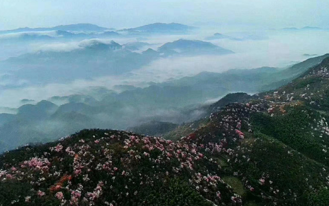 星空娱乐(中国区) - 官方网站