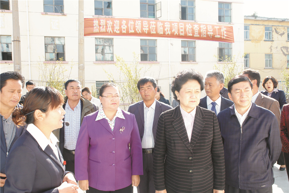 4中央政治局委员，，，，，，，国务院副总理、党组成员刘延东视察湖北星空娱乐集团青海项目部 